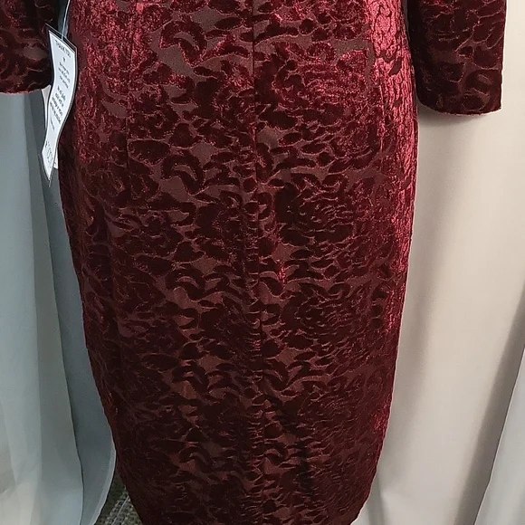 SLNY Deep Red Velvet Dress - Picture 6 of 7